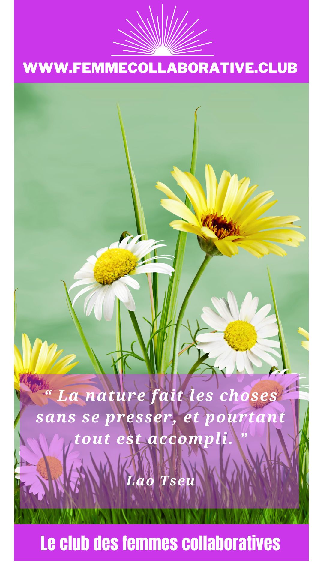 Citation Femme Collaborative : "La nature fait les choses sans se presser, et pourtant tout est accompli." Lao Tseu